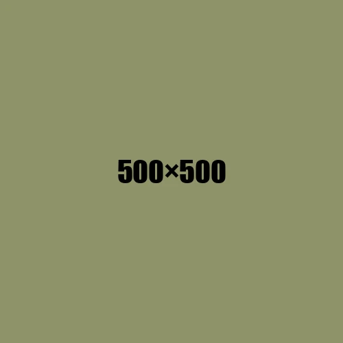 image de remplacement 500 × 500