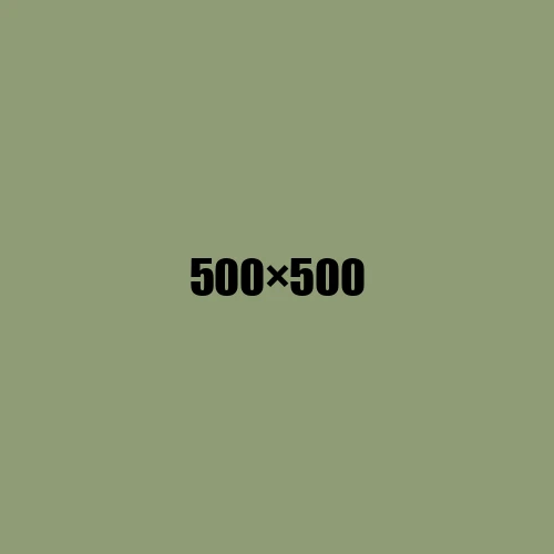 image de remplacement 500 × 500