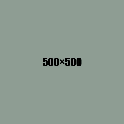 image de remplacement 500 × 500