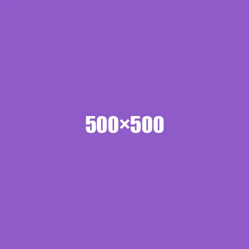 image de remplacement 500 × 500