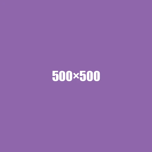 image de remplacement 500 × 500