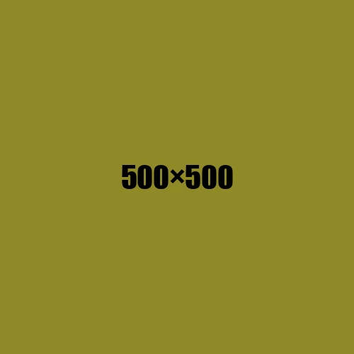 image de remplacement 500 × 500