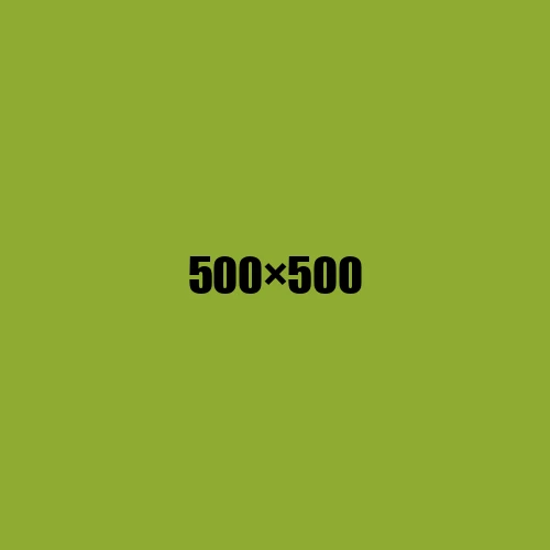 image de remplacement 500 × 500
