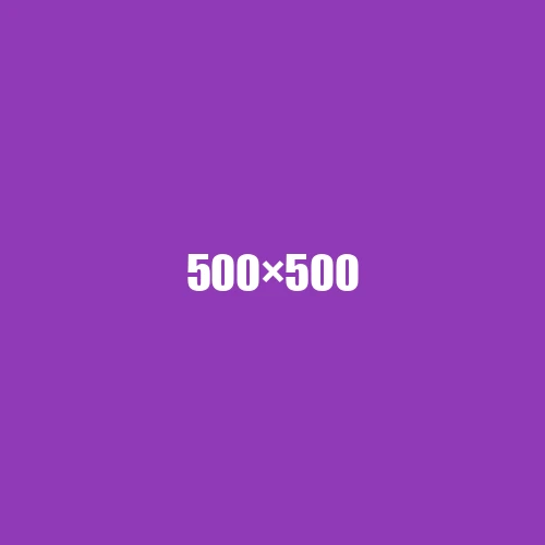 image de remplacement 500 × 500