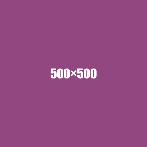 image de remplacement 500 × 500