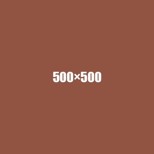image de remplacement 500 × 500