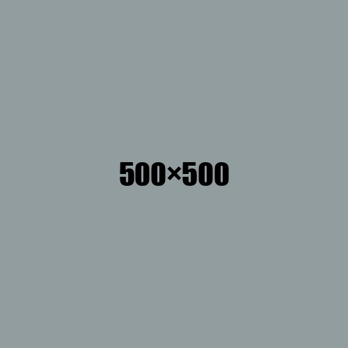 image de remplacement 500 × 500