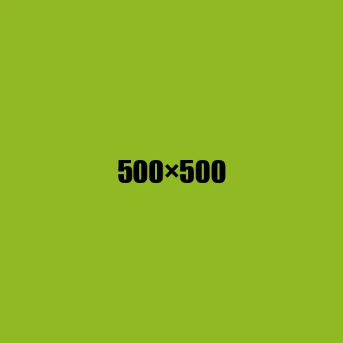 image de remplacement 500 × 500
