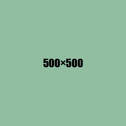 image de remplacement 500 × 500