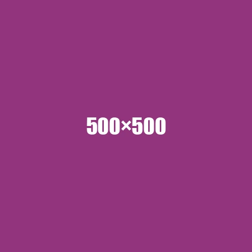 image de remplacement 500 × 500