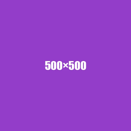 image de remplacement 500 × 500