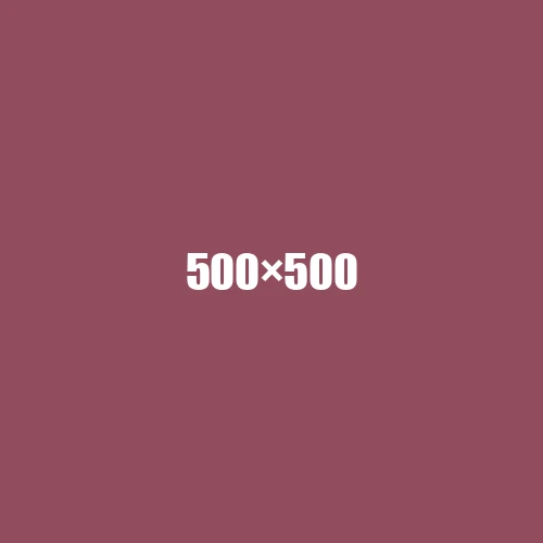 image de remplacement 500 × 500