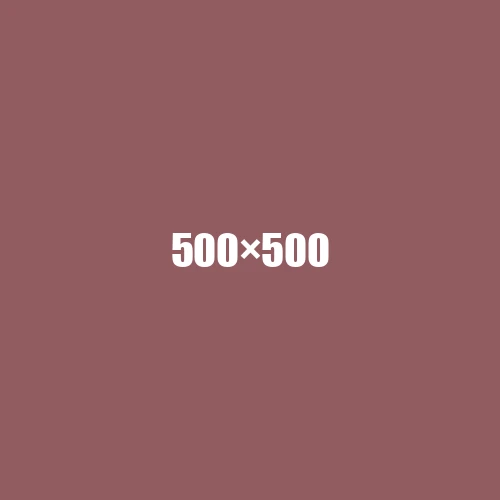 image de remplacement 500 × 500