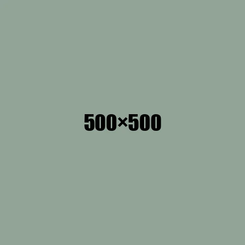 image de remplacement 500 × 500