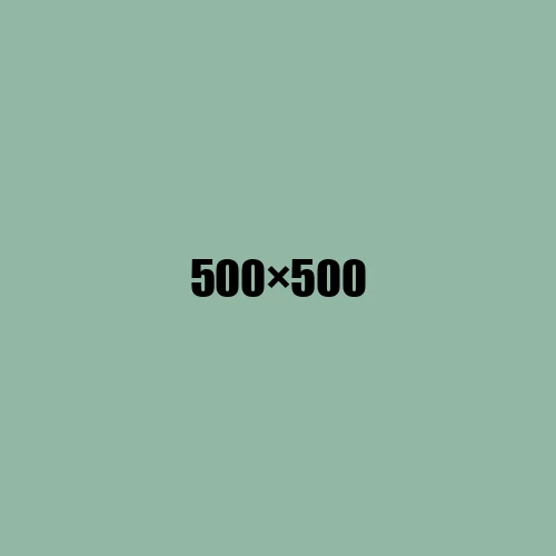 image de remplacement 500 × 500