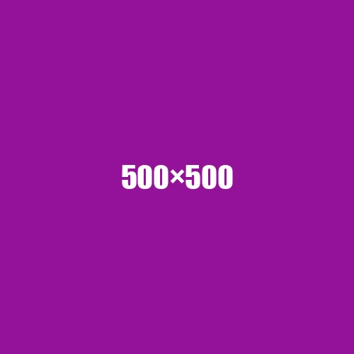 image de remplacement 500 × 500