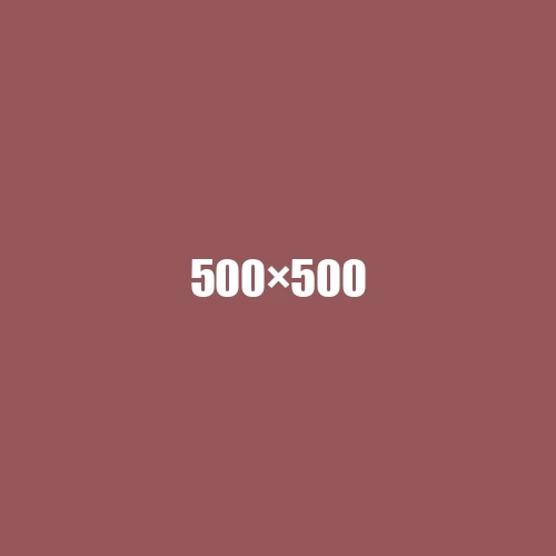 image de remplacement 500 × 500