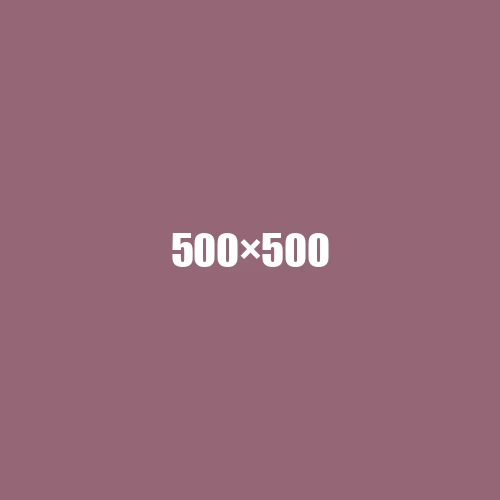 image de remplacement 500 × 500