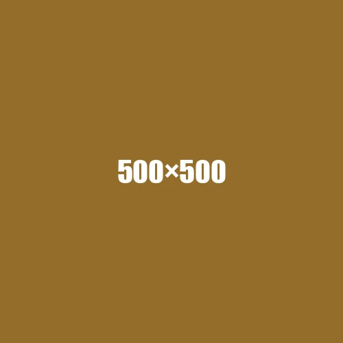 image de remplacement 500 × 500