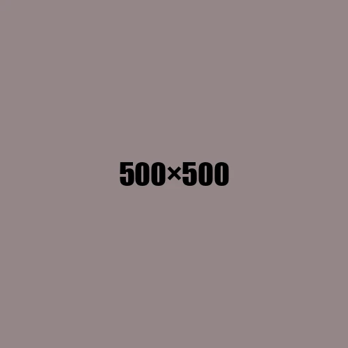 image de remplacement 500 × 500