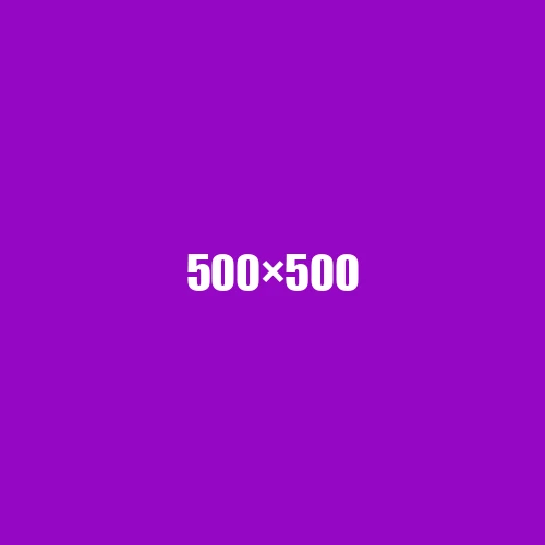 image de remplacement 500 × 500
