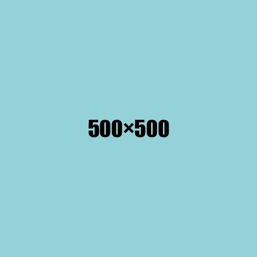 image de remplacement 500 × 500