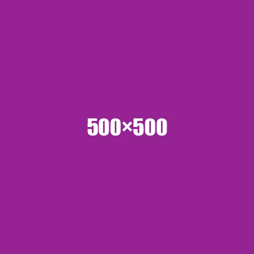 image de remplacement 500 × 500