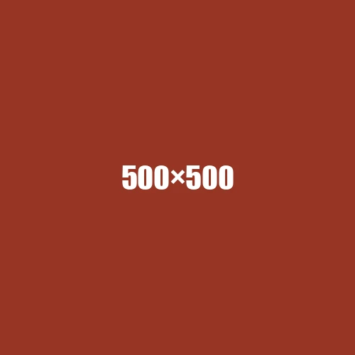 image de remplacement 500 × 500