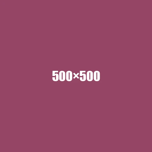 image de remplacement 500 × 500