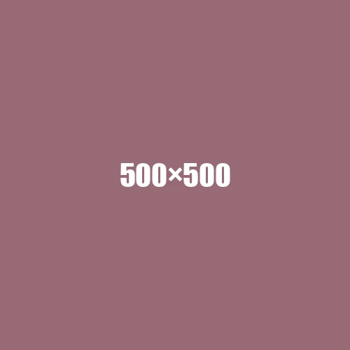 image de remplacement 500 × 500