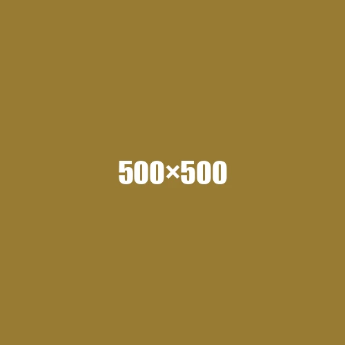 image de remplacement 500 × 500