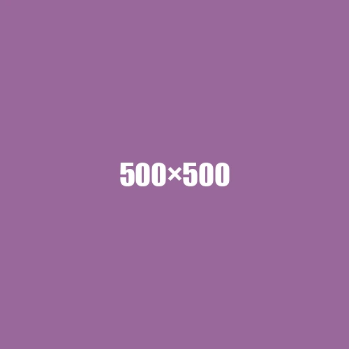 image de remplacement 500 × 500