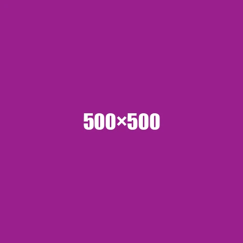 image de remplacement 500 × 500