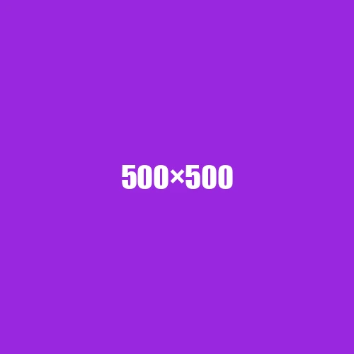 image de remplacement 500 × 500