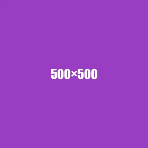 image de remplacement 500 × 500