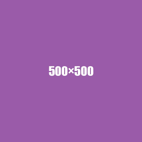 image de remplacement 500 × 500