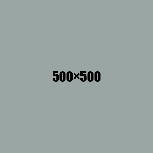 image de remplacement 500 × 500