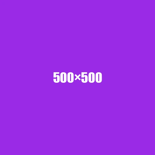 image de remplacement 500 × 500