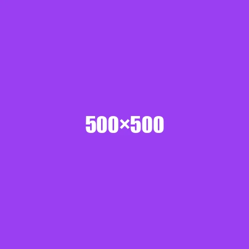image de remplacement 500 × 500