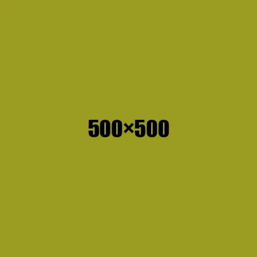image de remplacement 500 × 500