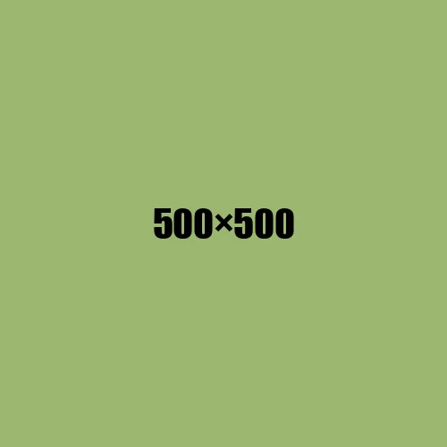 image de remplacement 500 × 500