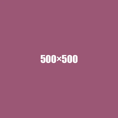 image de remplacement 500 × 500