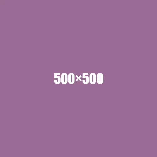 image de remplacement 500 × 500