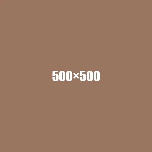 image de remplacement 500 × 500