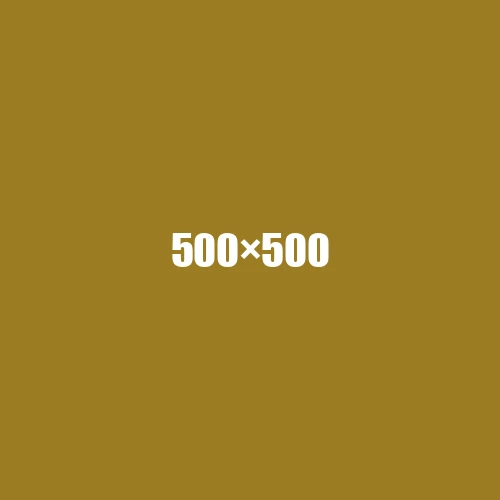 image de remplacement 500 × 500