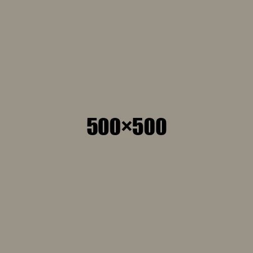 image de remplacement 500 × 500