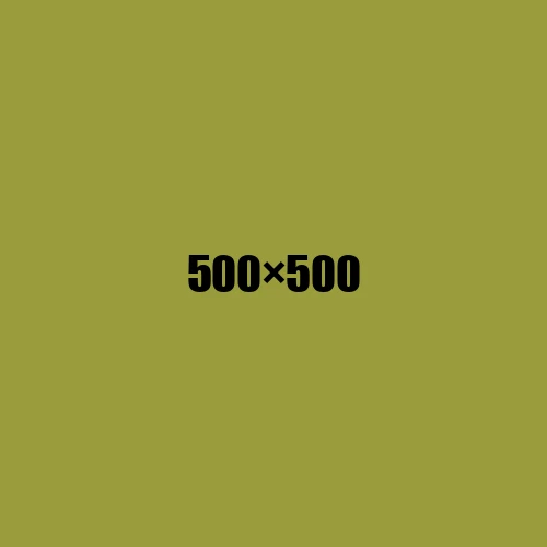 image de remplacement 500 × 500