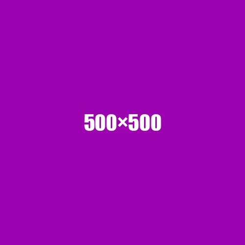 image de remplacement 500 × 500