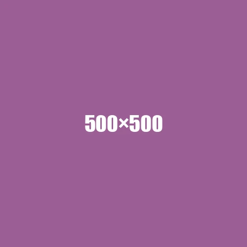 image de remplacement 500 × 500