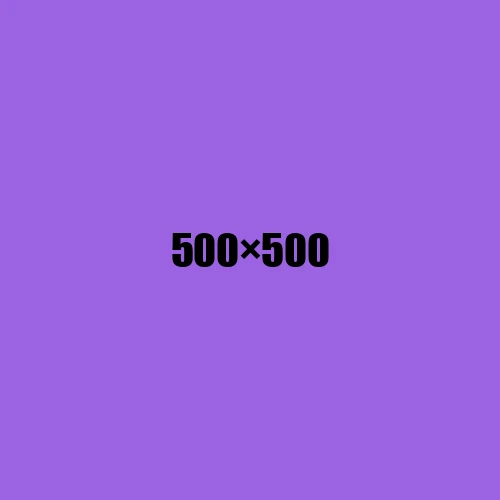 image de remplacement 500 × 500